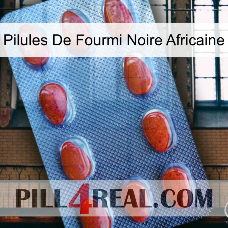 African Black Ant Pills 06